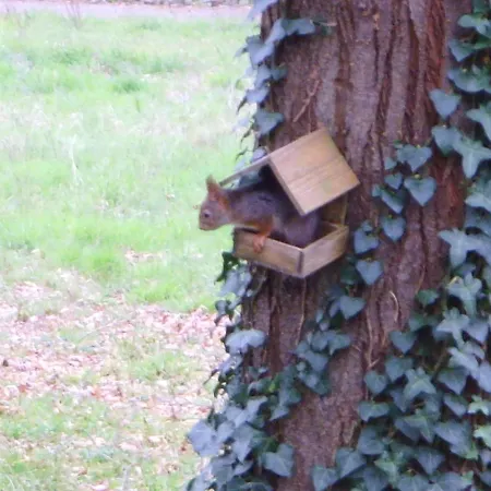 Holiday home La Chaumine Et Ses Plages